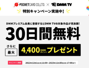 DMM プレミアム+ポケットカード キャンペーン 01