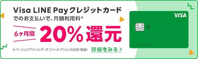 Visa LINE Payカードの注意点まとめ